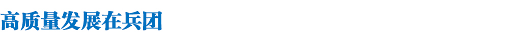 高质量发展在兵团